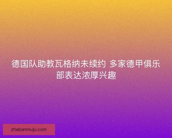德国队助教瓦格纳未续约 多家德甲俱乐部表达浓厚兴趣 德国队助教瓦格纳未续约 多家德甲俱乐部表达浓厚兴趣