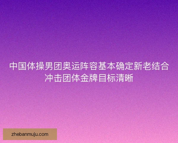 中国体操男团奥运阵容基本确定新老结合冲击团体金牌目标清晰 中国体操男团奥运阵容基本确定新老结合冲击团体金牌目标清晰
